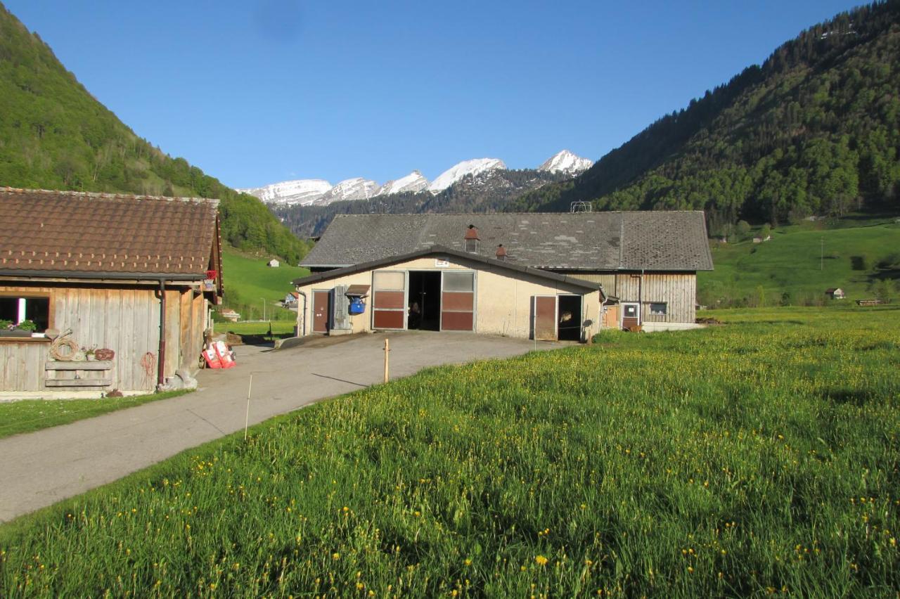 Wies Stein  Exteriér fotografie